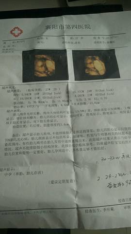journal_insert_pic_736284753