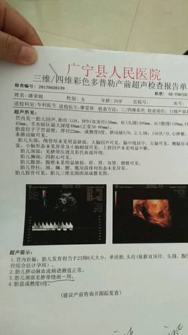 journal_insert_pic_736403009