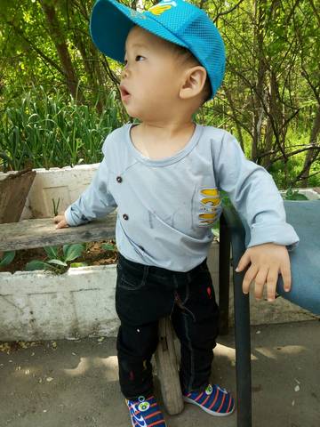 journal_insert_pic_737418832