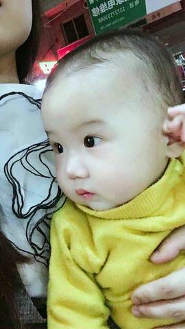 journal_insert_pic_737818204
