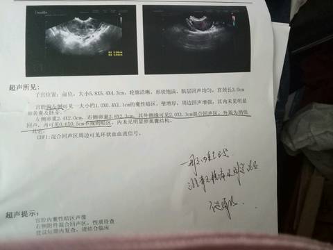 journal_insert_pic_738326067