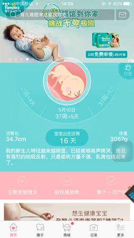journal_insert_pic_738513127