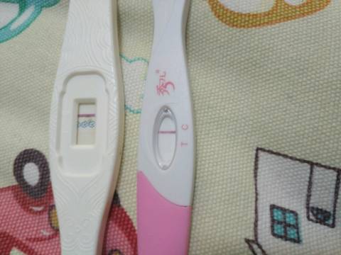 journal_insert_pic_738266117