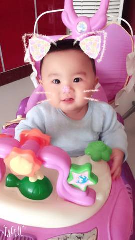 journal_insert_pic_739575207