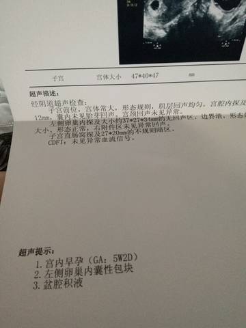 journal_insert_pic_739311822