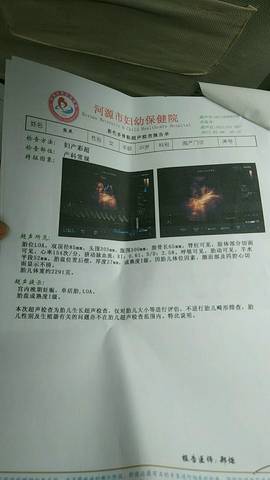journal_insert_pic_739249312