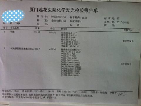 journal_insert_pic_739461410