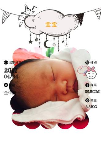 journal_insert_pic_739412296