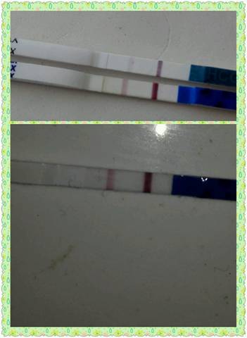 journal_insert_pic_738987207