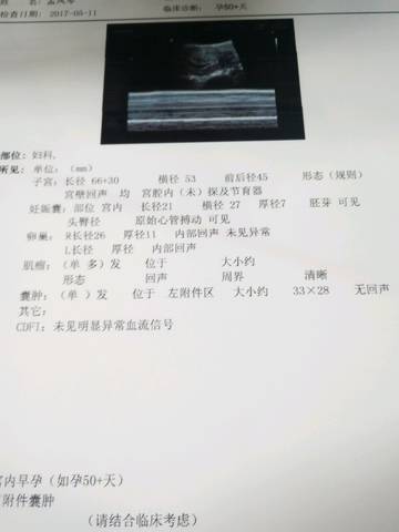 journal_insert_pic_739310899