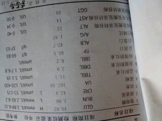 journal_insert_pic_740186708