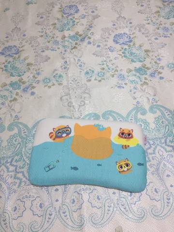 journal_insert_pic_739852152