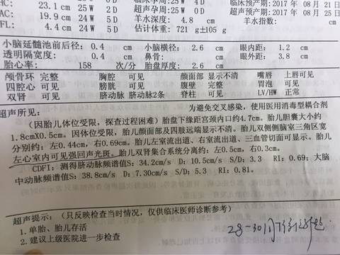 journal_insert_pic_740103046