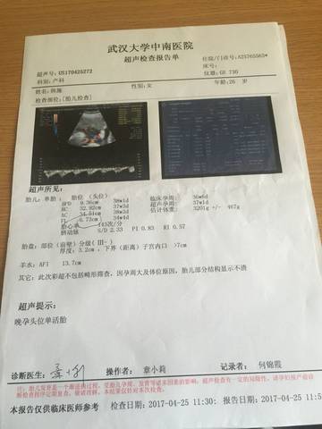 journal_insert_pic_739969203
