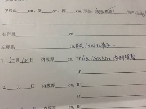journal_insert_pic_740257154