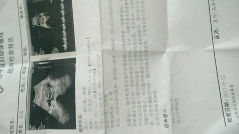 journal_insert_pic_739944388