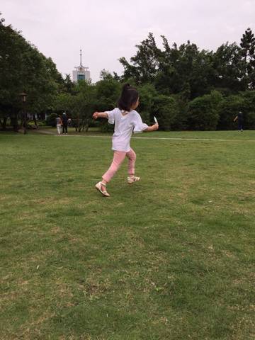journal_insert_pic_740667828