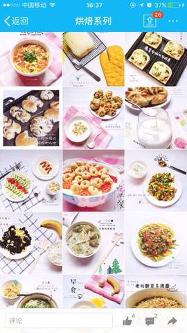 journal_insert_pic_742241910