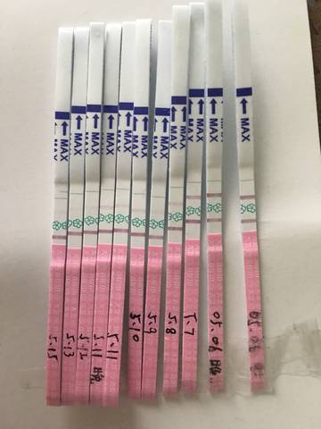 journal_insert_pic_742136103