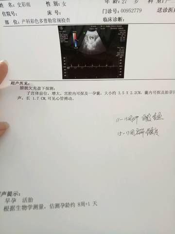 journal_insert_pic_742837300