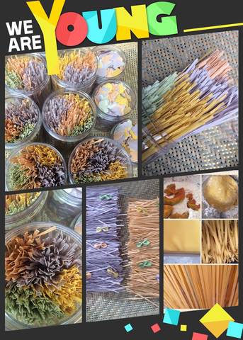 journal_insert_pic_742457377