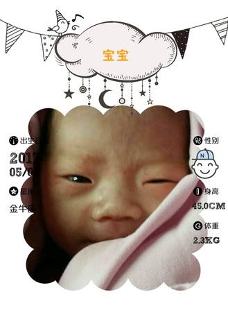 journal_insert_pic_742929289