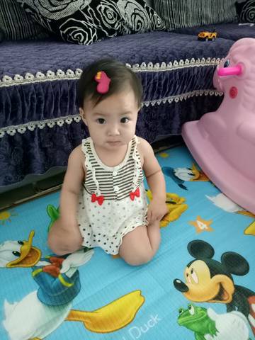 journal_insert_pic_742871579
