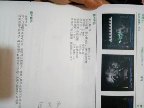 journal_insert_pic_744023277