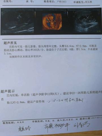 journal_insert_pic_743838226
