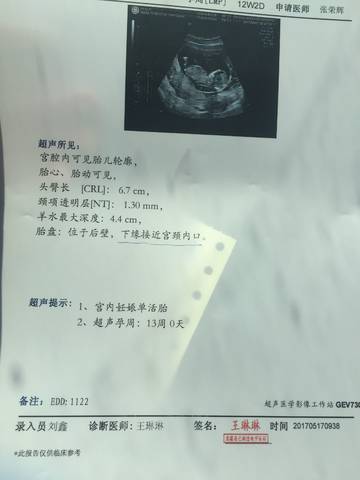 journal_insert_pic_743907982