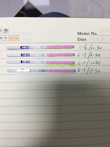 journal_insert_pic_744180791