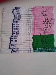 journal_insert_pic_745382567