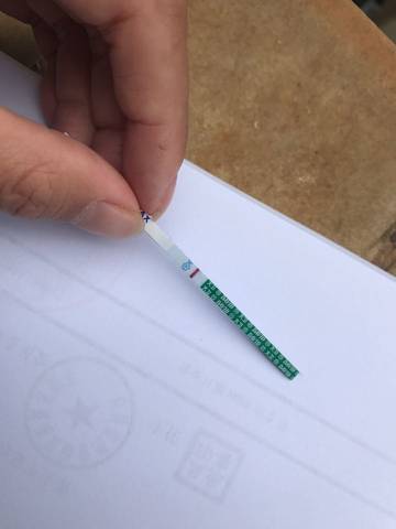 journal_insert_pic_745279136