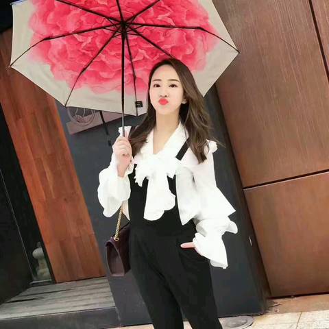 journal_insert_pic_745463404