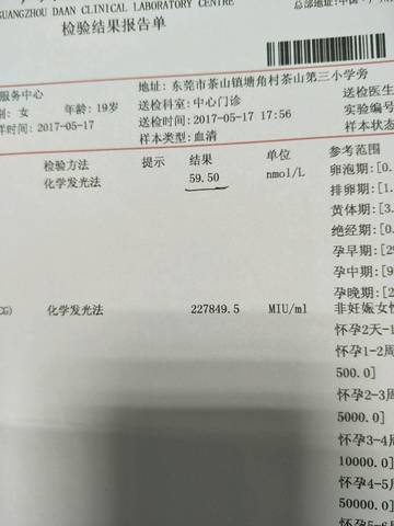 journal_insert_pic_745549484