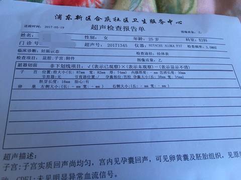 journal_insert_pic_745387345