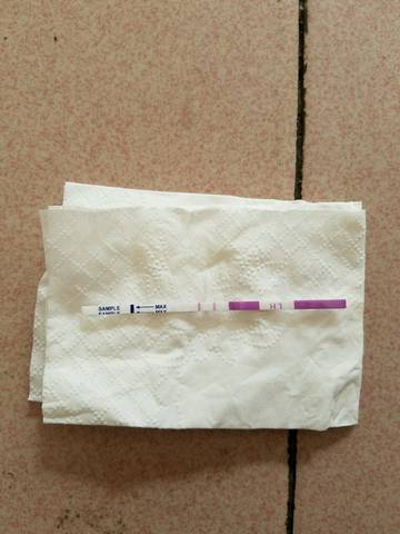 journal_insert_pic_746090695