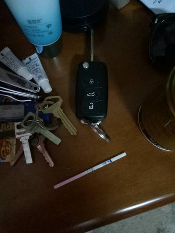 journal_insert_pic_746147609