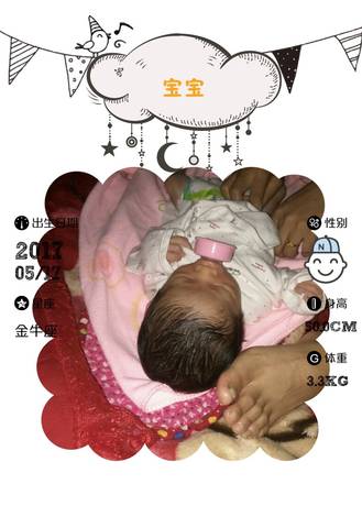 journal_insert_pic_746533299
