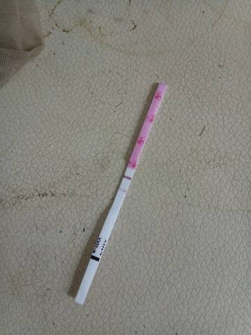 journal_insert_pic_747739161