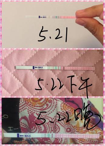 journal_insert_pic_748330444