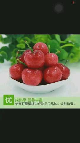 journal_insert_pic_747725183