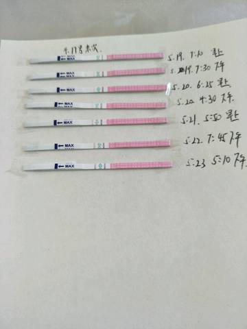 journal_insert_pic_748970215