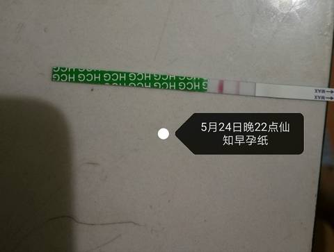 journal_insert_pic_750770542