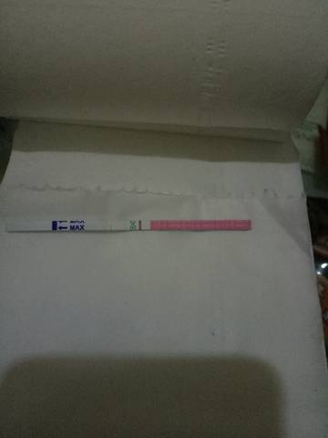 journal_insert_pic_750889399