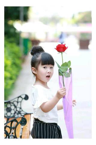 journal_insert_pic_750748167