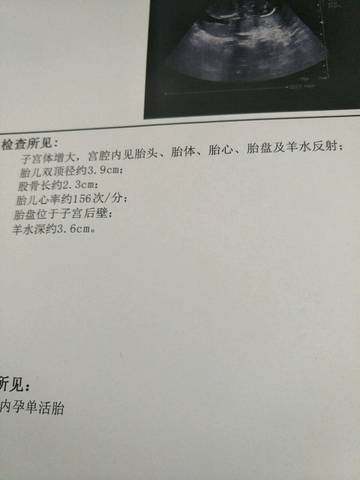 journal_insert_pic_751054946