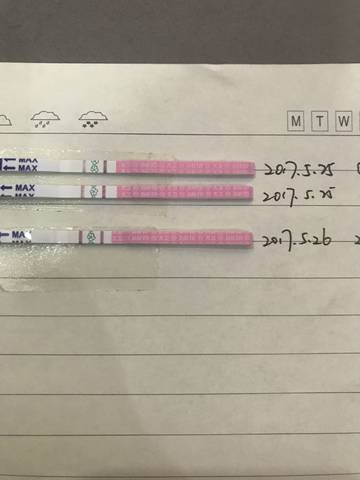 journal_insert_pic_751774565