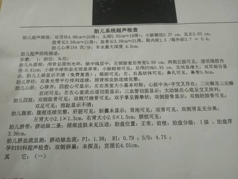 journal_insert_pic_751259941