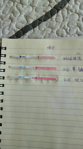 journal_insert_pic_751414595